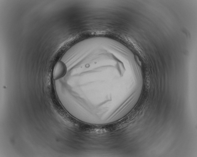 X0000111120543200907281031