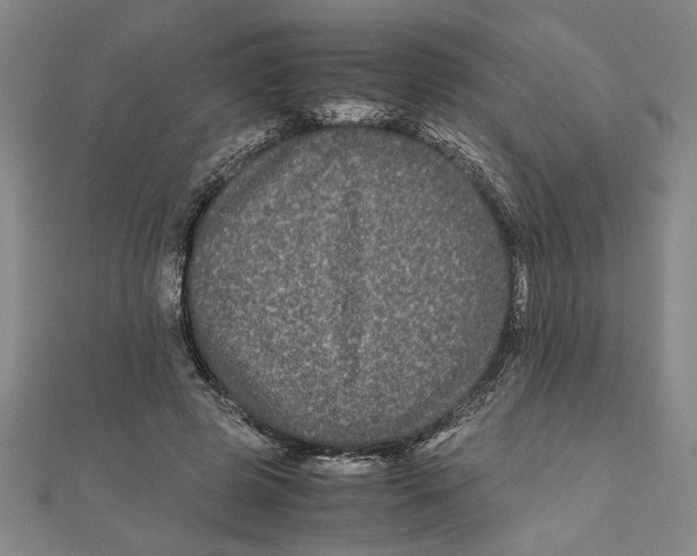 X0000111120545200907281031