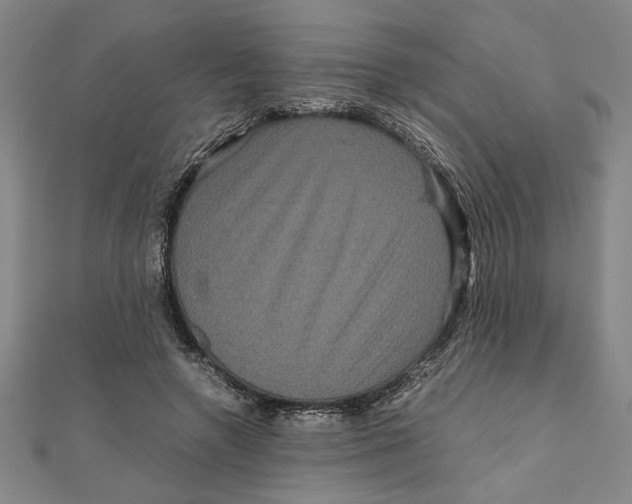 X0000111120546200907281031