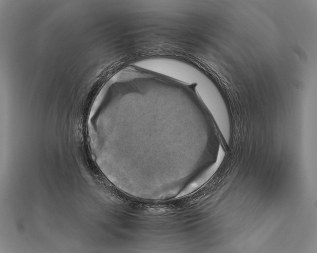X0000111120547200907281031