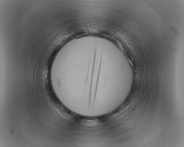 X0000111120548200907281031