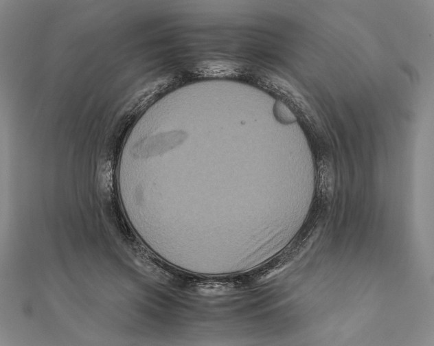 X0000111120549200907281031