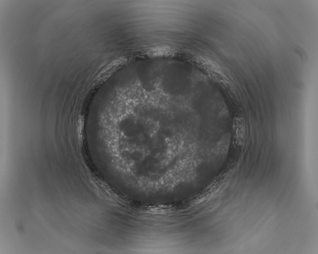 X0000111120550200907281031