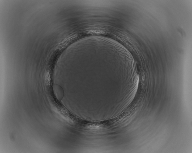 X0000111120551200907281031