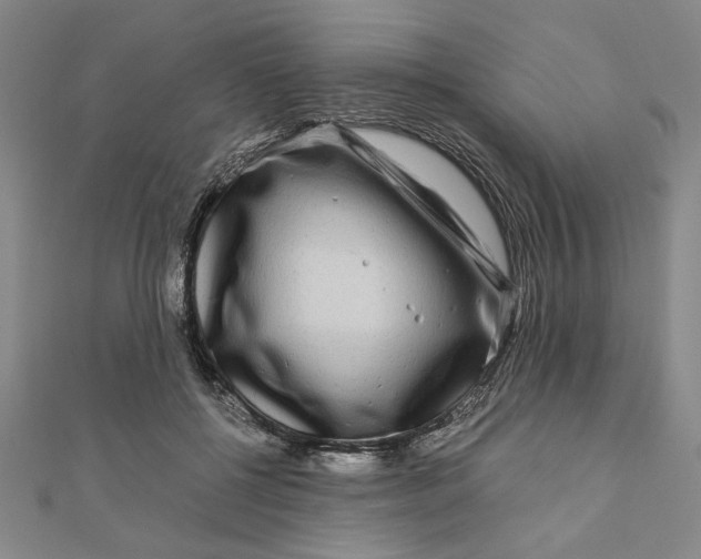 X0000111120552200907281031