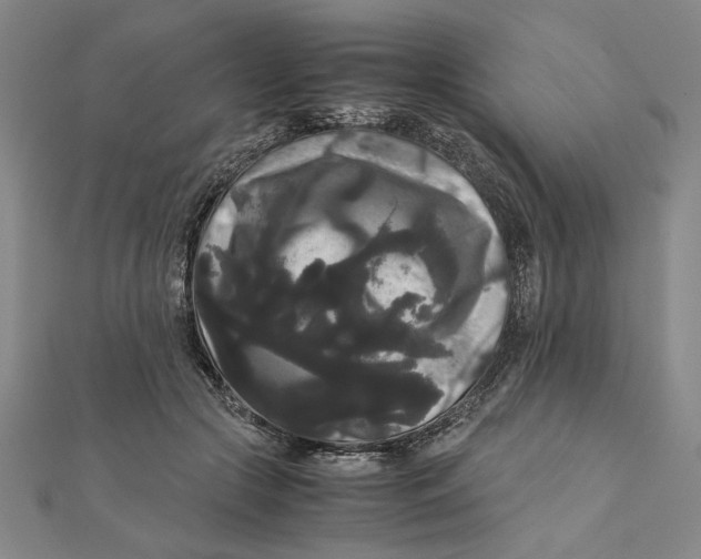 X0000111120553200907281031
