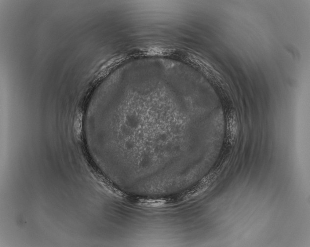 X0000111120554200907281031