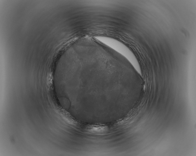 X0000111120555200907281031