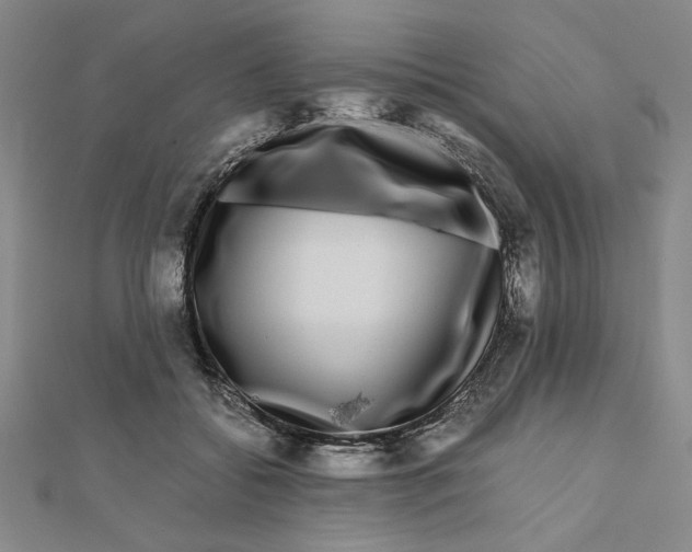 X0000111120556200907281031