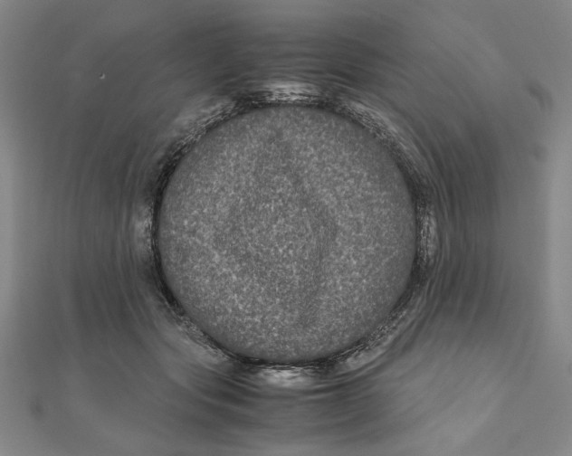 X0000111120557200907281031