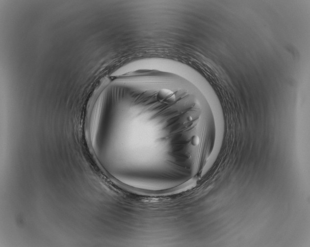 X0000111120558200907281031