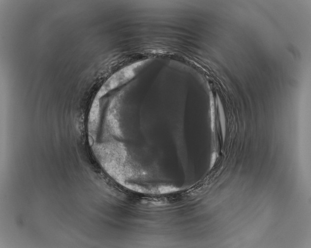 X0000111120559200907281031