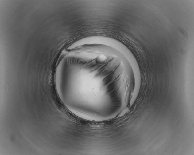 X0000111120560200907281031