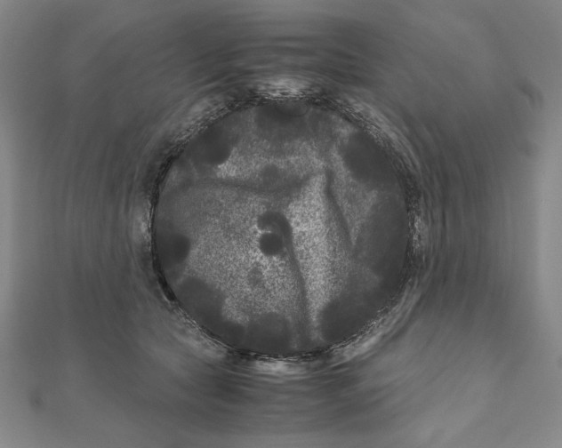 X0000111120561200907281031