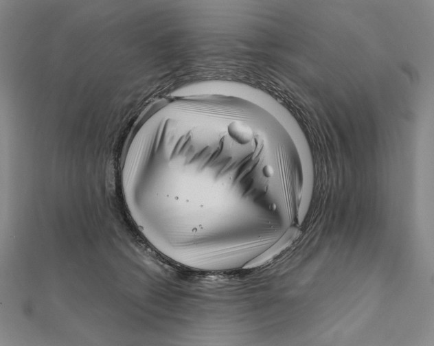 X0000111120562200907281031