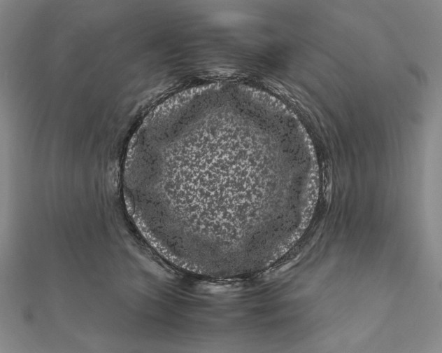 X0000111120563200907281031