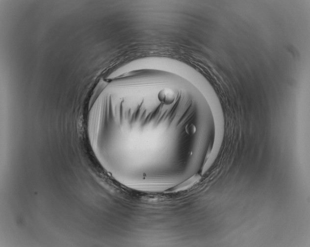 X0000111120564200907281031