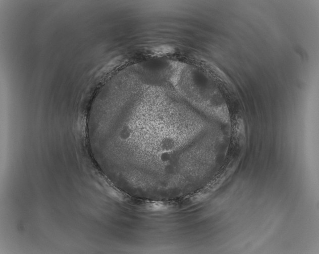 X0000111120565200907281031