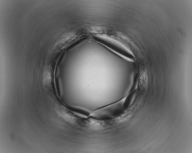 X0000111120566200907281031