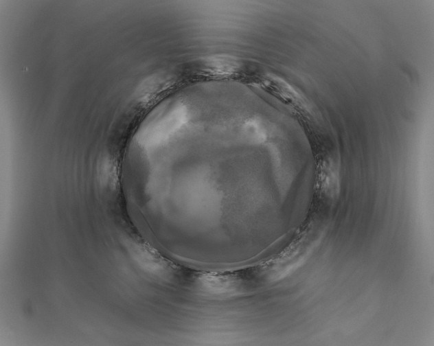 X0000111120568200907281031