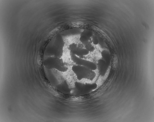 X0000111120569200907281031