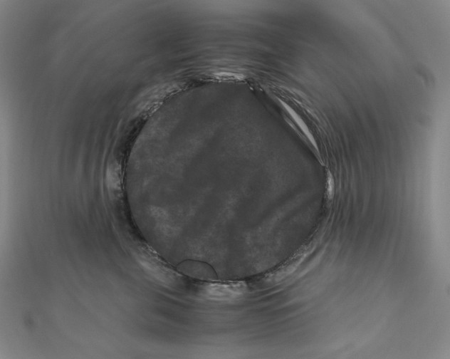 X0000111120571200907281031