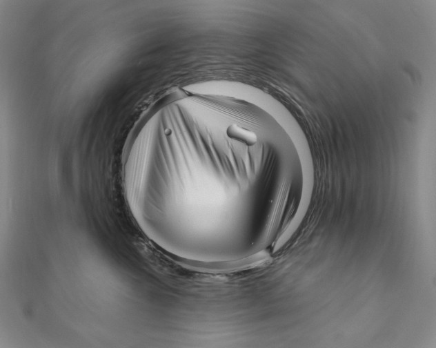 X0000111120572200907281031