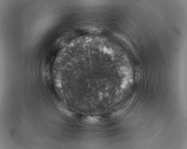X0000111120573200907281031