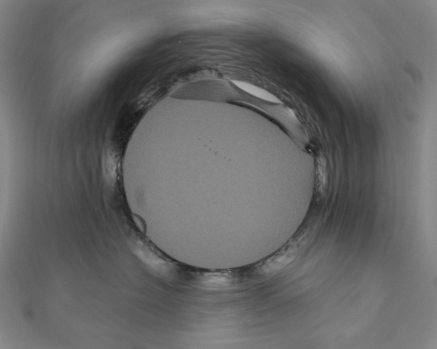X0000111120574200907281031