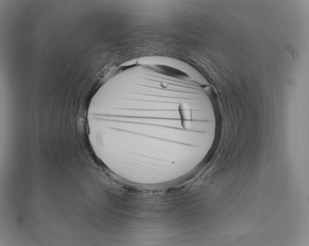 X0000111120576200907281031