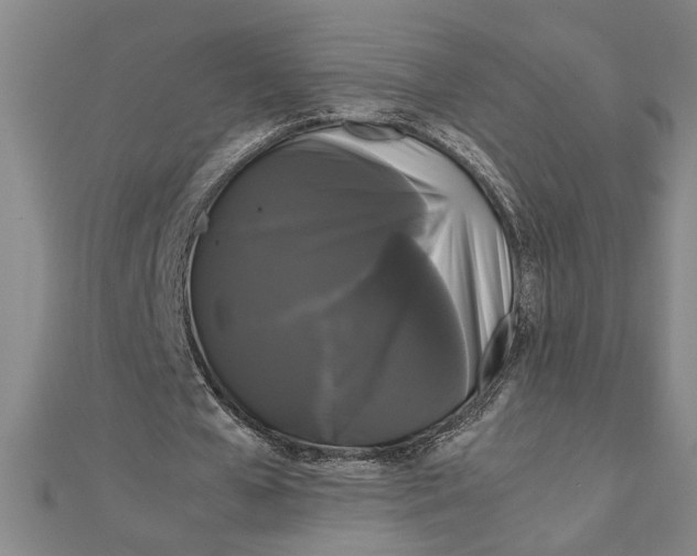 X0000111120577200907281031