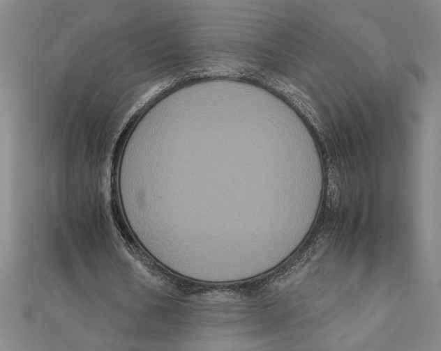 X0000111120578200907281031