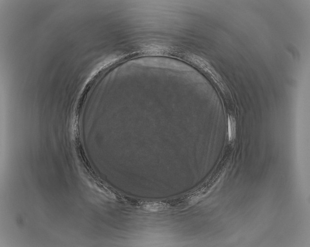 X0000111120579200907281031