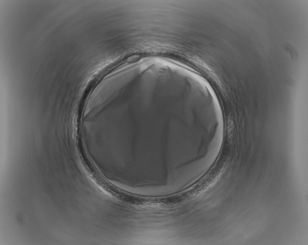 X0000111120581200907281031