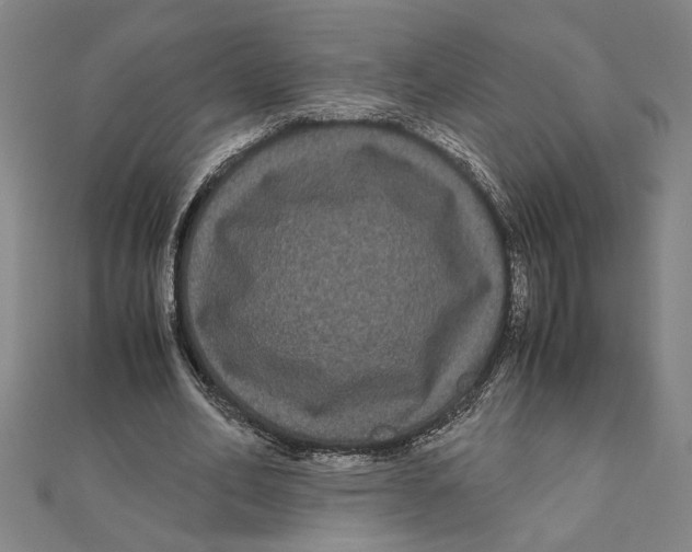 X0000111120582200907281031