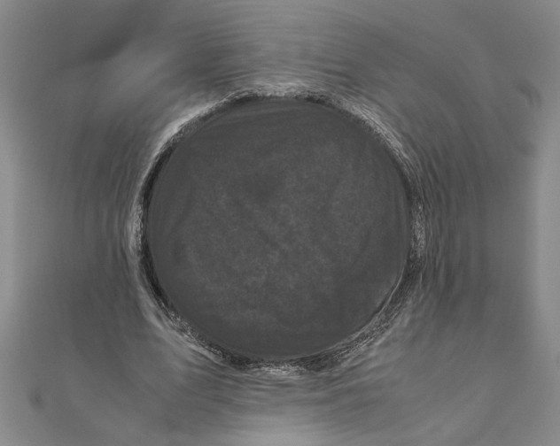 X0000111120583200907281031