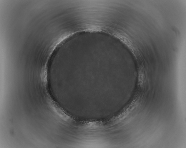 X0000111120584200907281031