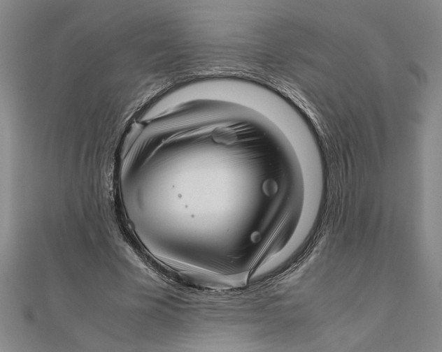 X0000111120585200907281031
