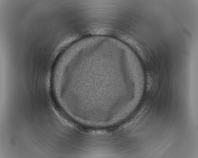 X0000111120586200907281031