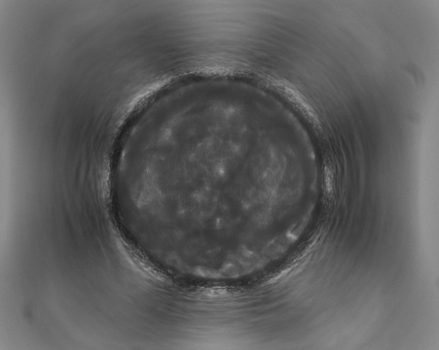 X0000111120588200907281031