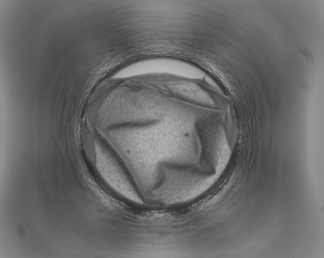 X0000111120589200907281031