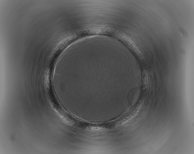 X0000111120590200907281031