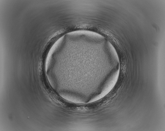 X0000111120591200907281031