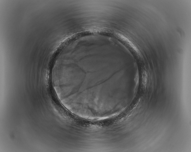 X0000111120592200907281031