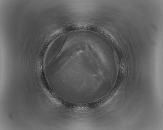 X0000111120593200907281031