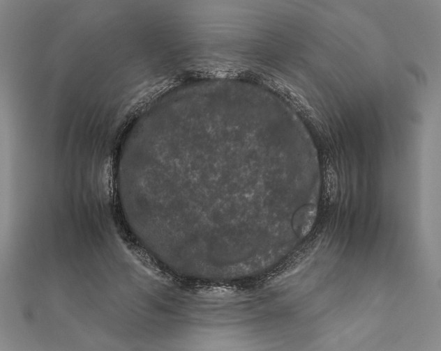 X0000111120594200907281031