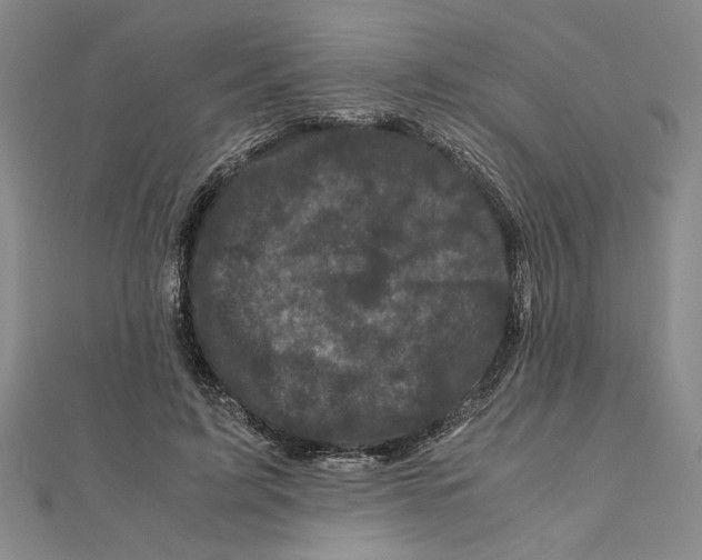 X0000111120595200907281031