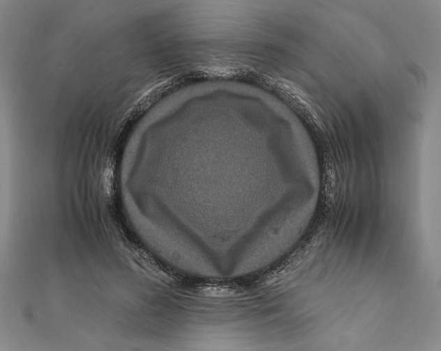 X0000111120596200907281030