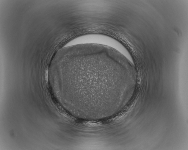 X0000111120597200907281030