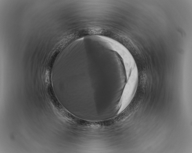 X0000111120598200907281030